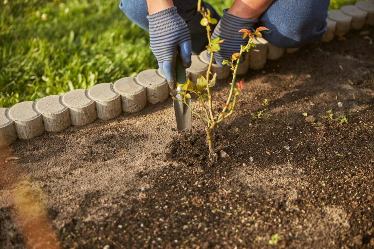 Garten- und Landschaftsbau im Raum Stuttgart